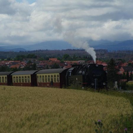 Ferienwohnung Schuur - Harz Hasselfelde Dış mekan fotoğraf