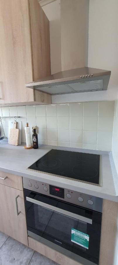 Ferienwohnung Schuur - Harz Hasselfelde Dış mekan fotoğraf