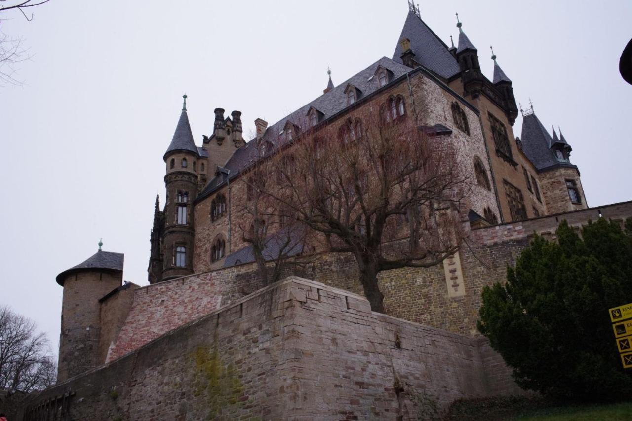 Ferienwohnung Schuur - Harz Hasselfelde Dış mekan fotoğraf