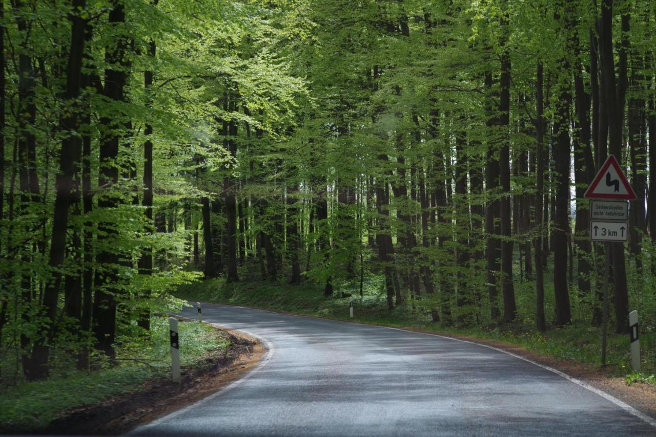 Ferienwohnung Schuur - Harz Hasselfelde Dış mekan fotoğraf