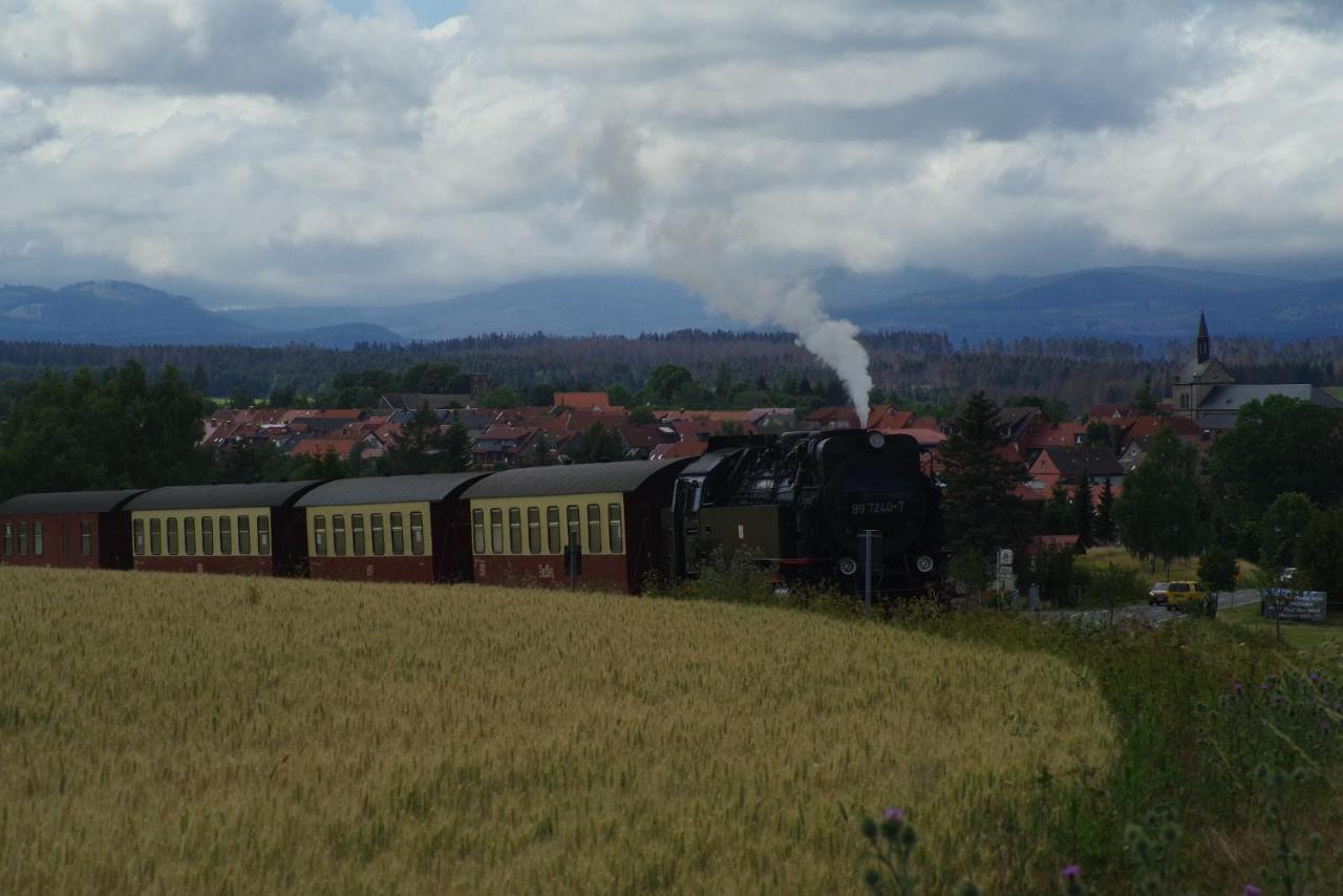 Ferienwohnung Schuur - Harz Hasselfelde Dış mekan fotoğraf